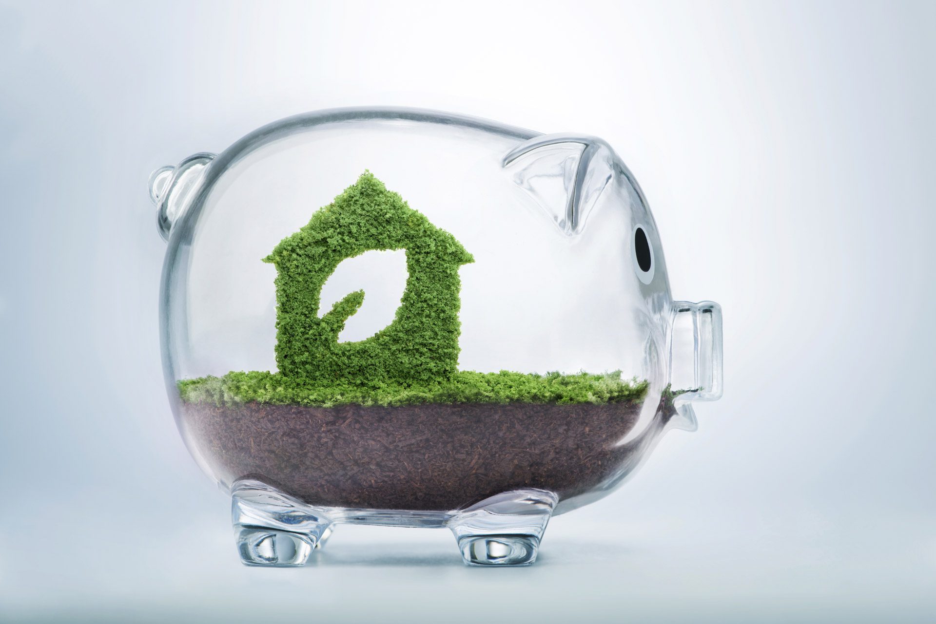 Nature is home concept. Grass growing in the shape of a house with a cut out leaf, inside a transparent piggy bank, symbolising the need to invest in sustainable homes, to protect the environment.