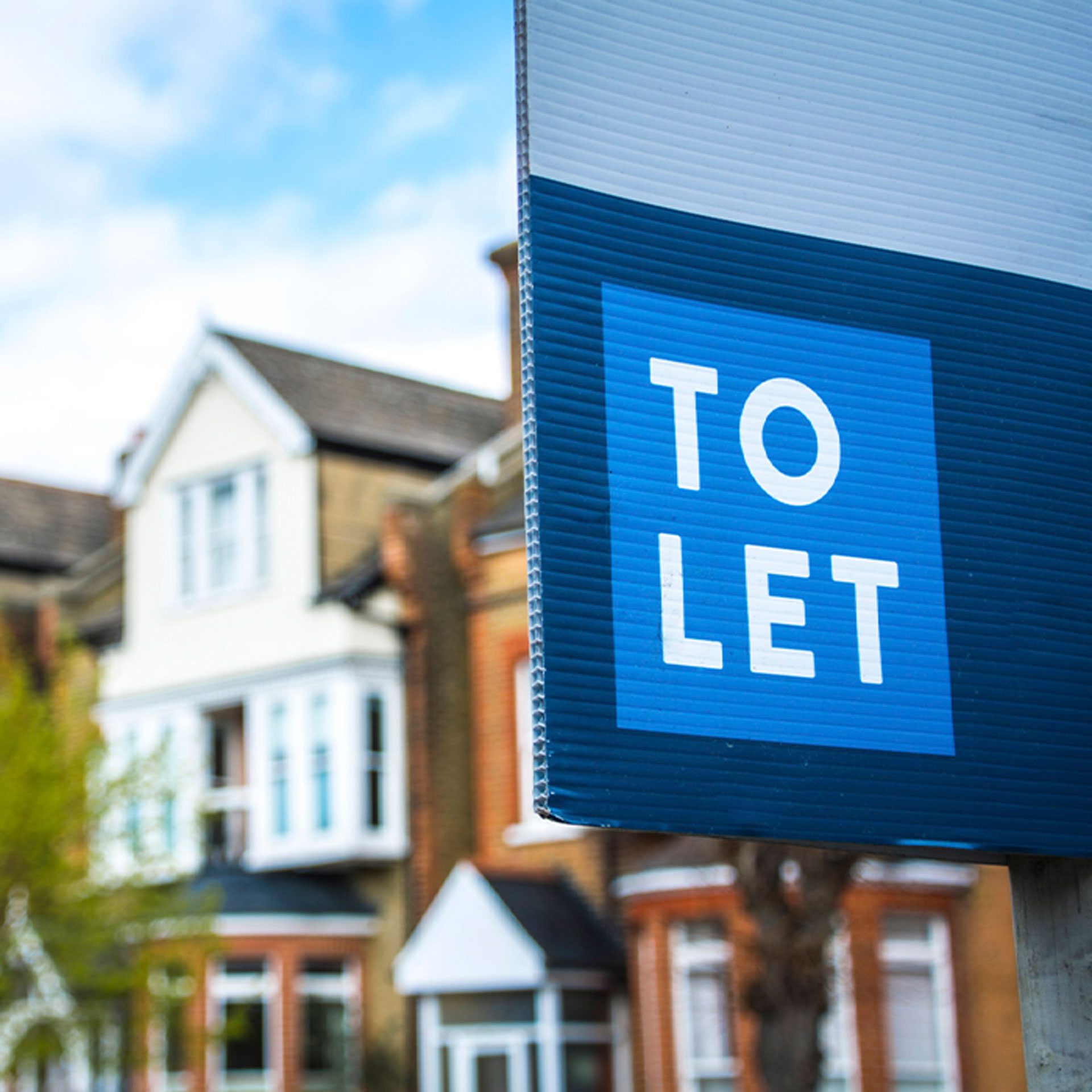 Text To Let on a sign with blue background