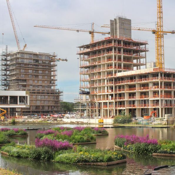 Bexley regeneration