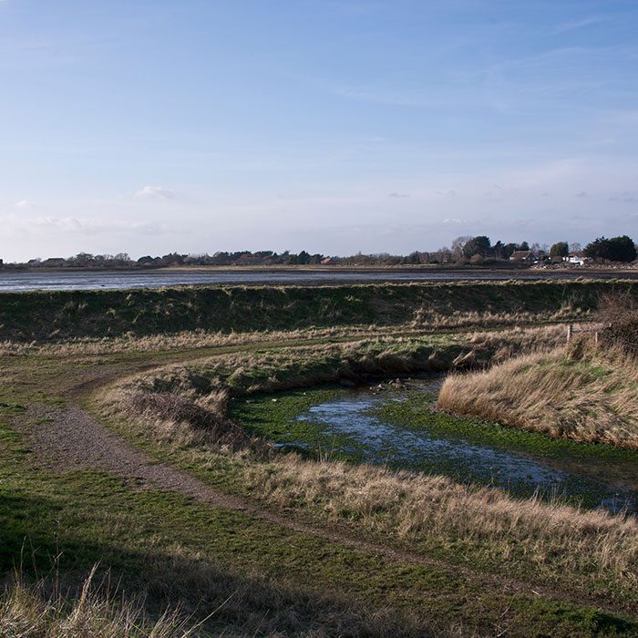 Farlington Field View