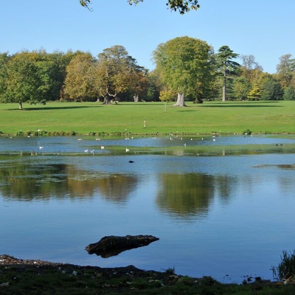 Swindon River View
