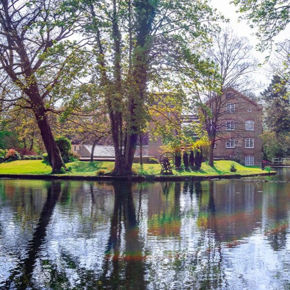 Watford canal view