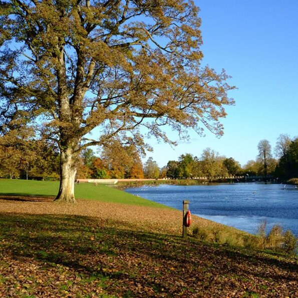 Swindon riverside