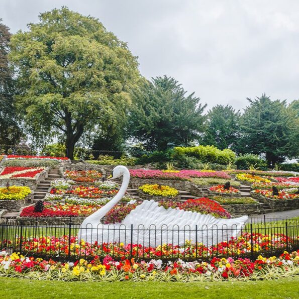 Burton park