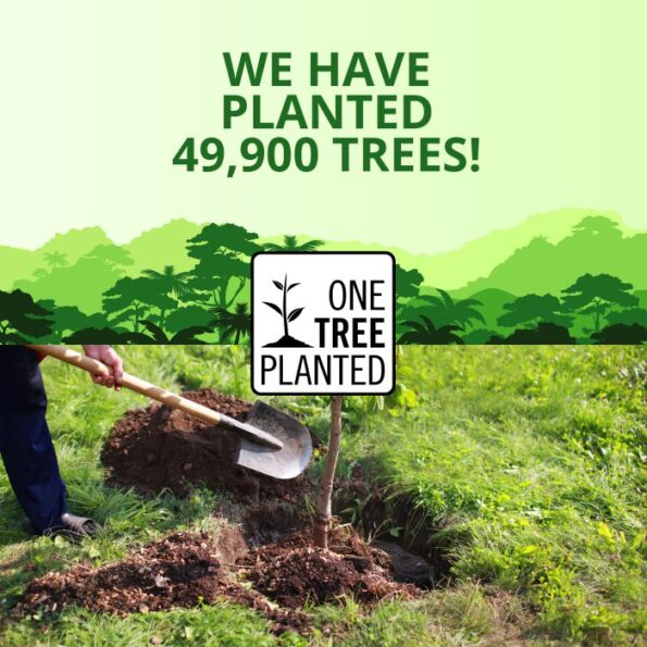 One Tree Planted1