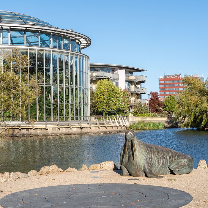 Sunderland Street View