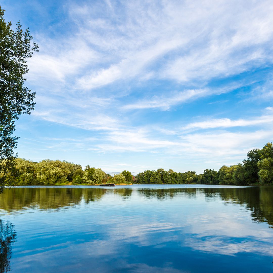 Woking lake view