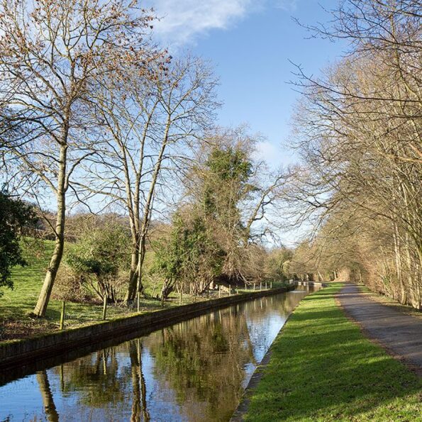 Wrexham river