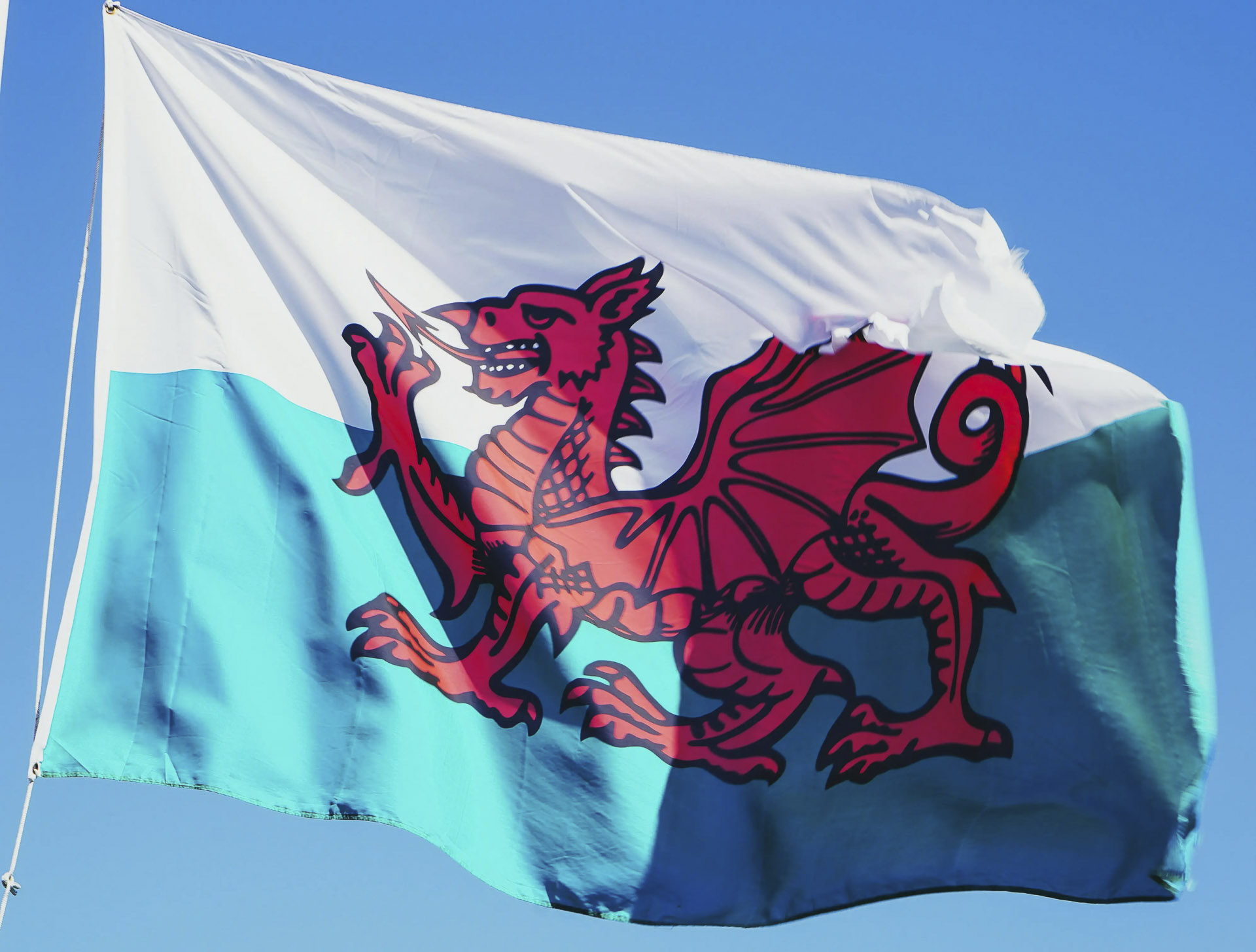 Welsh flag