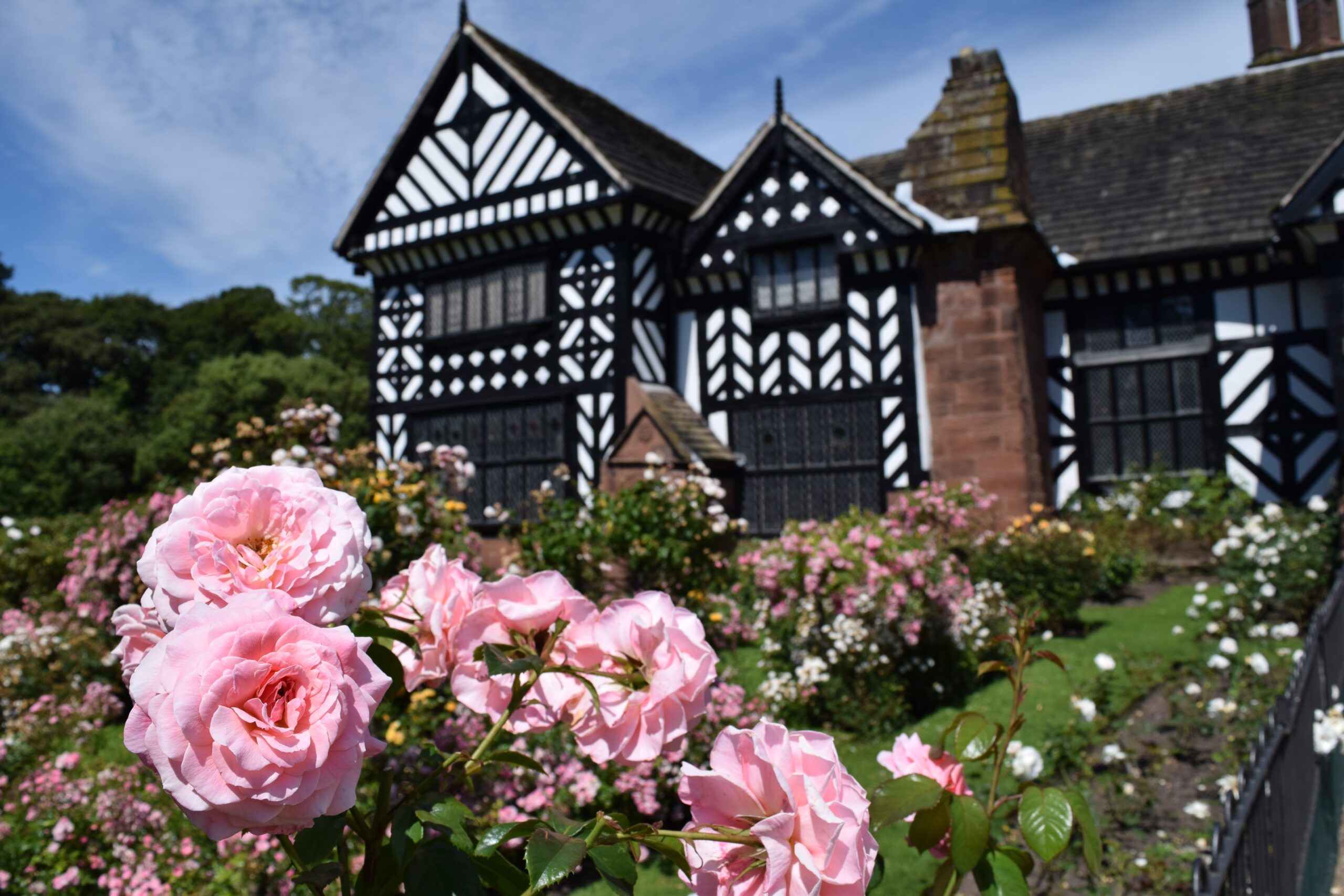 Speke Hall Liverpool - exterior of house with flowers
