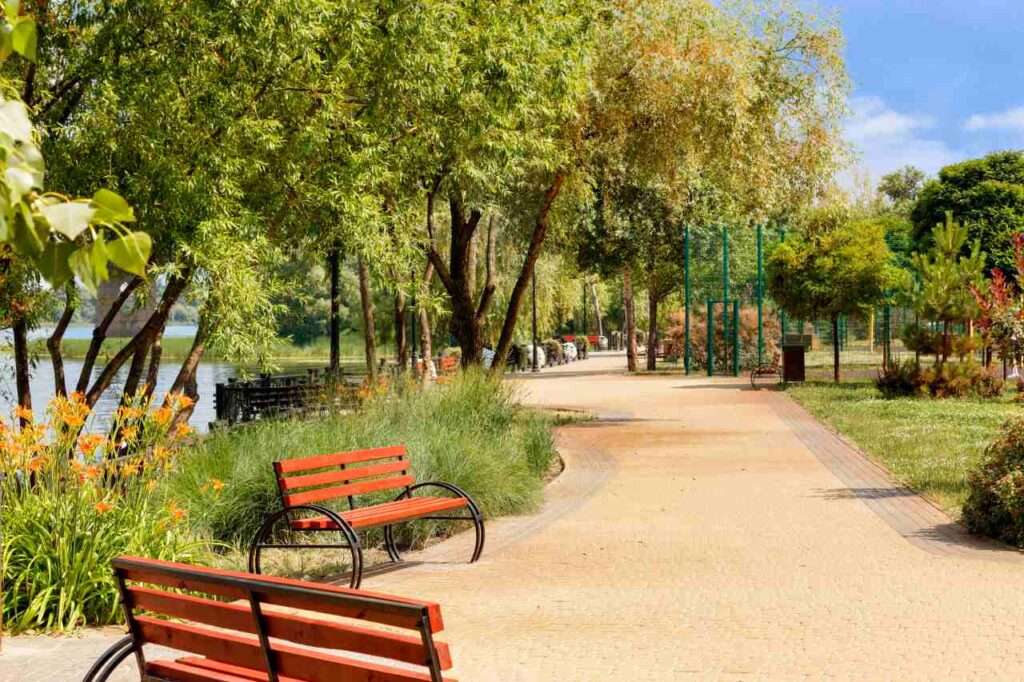 park with wooden benches on a beautiful sunny day