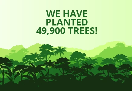 49,900 Trees Planted in the Amazon Rainforest